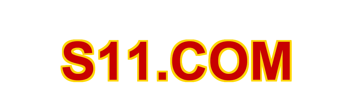s11